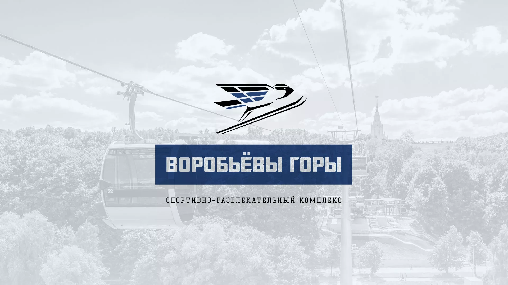 Разработка сайта в Топках для спортивно-развлекательного комплекса «Воробьёвы горы»